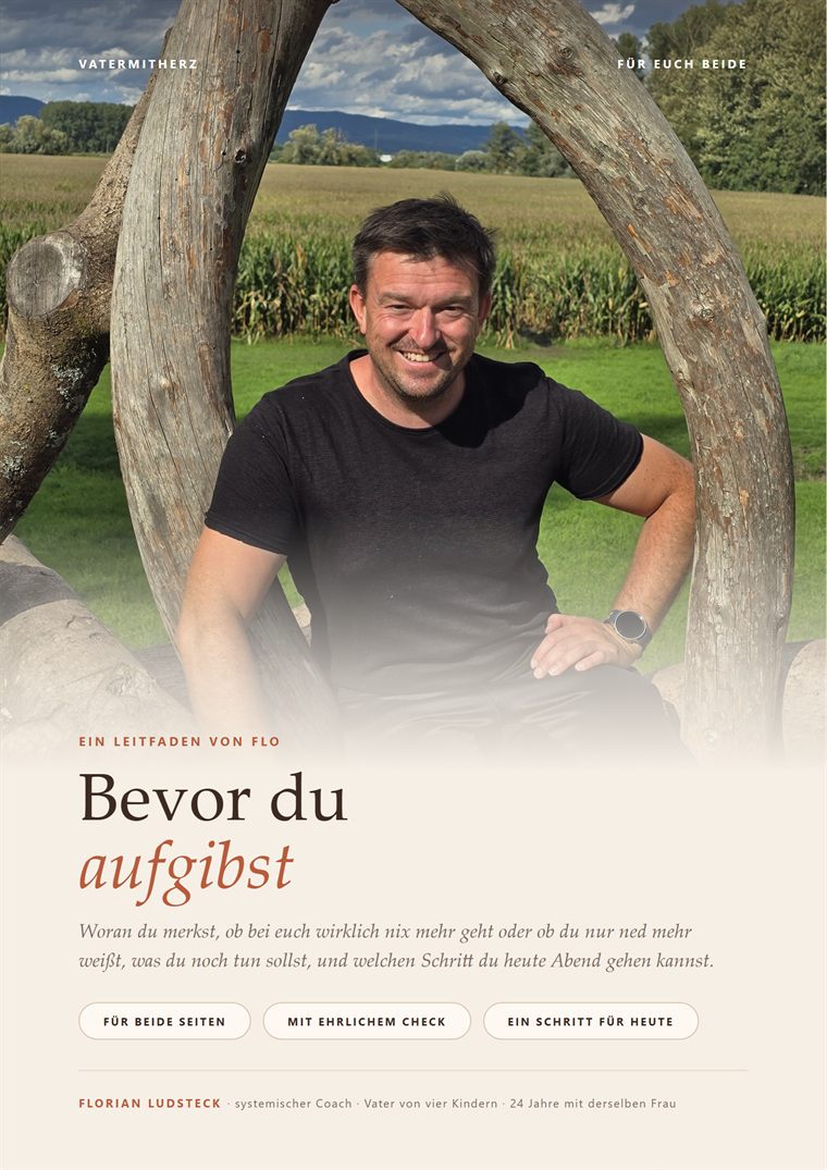 Titelseite von „Bevor du aufgibst“